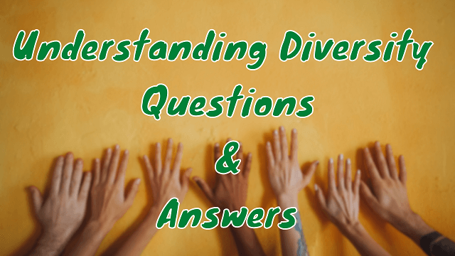 Understanding Diversity Questions & Answers
