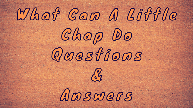 What Can A Little Chap Do Questions & Answers