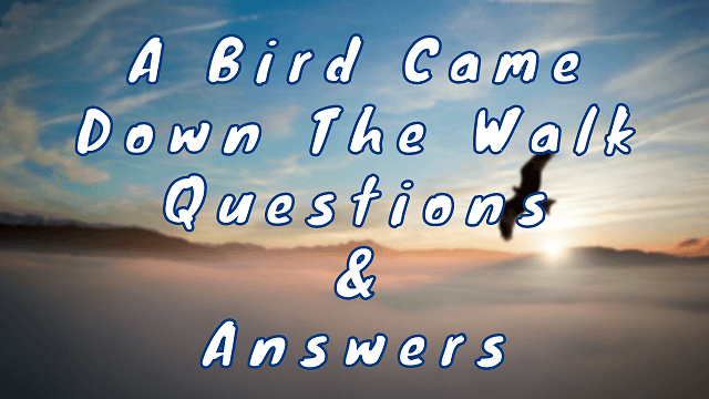 A Bird Came Down The Walk Questions & Answers