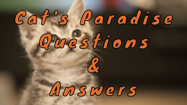 Cat's Paradise Questions & Answers