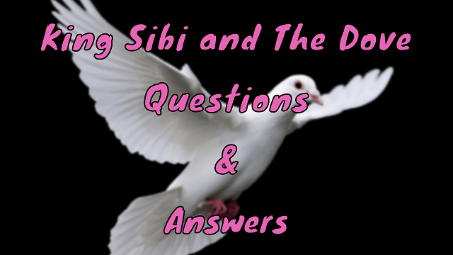 King Sibi and The Dove Questions & Answers