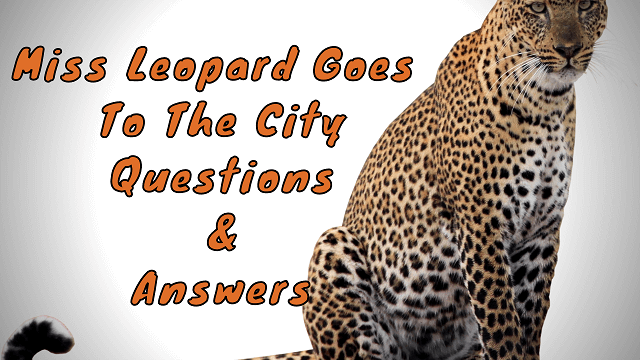 Miss Leopard Goes To The City Questions & Answers