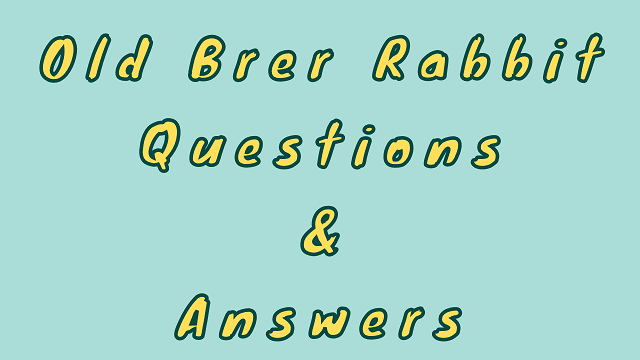 Old Brer Rabbit Questions & Answers