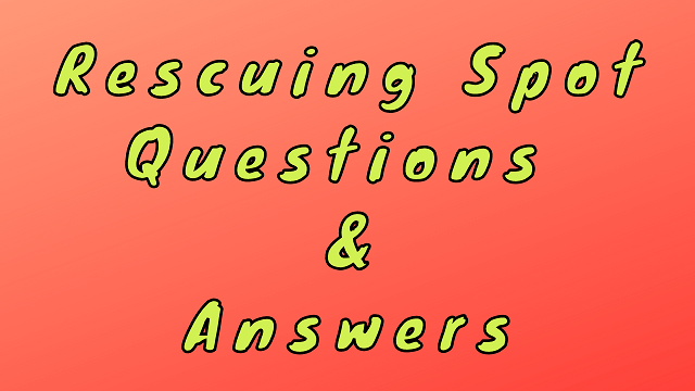 Rescuing Spot Questions & Answers