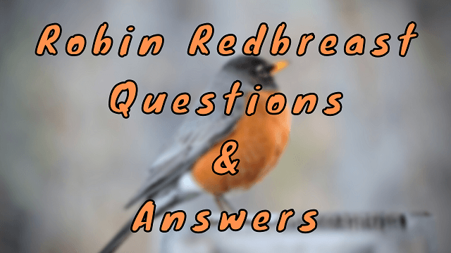 Robin Redbreast Questions & Answers