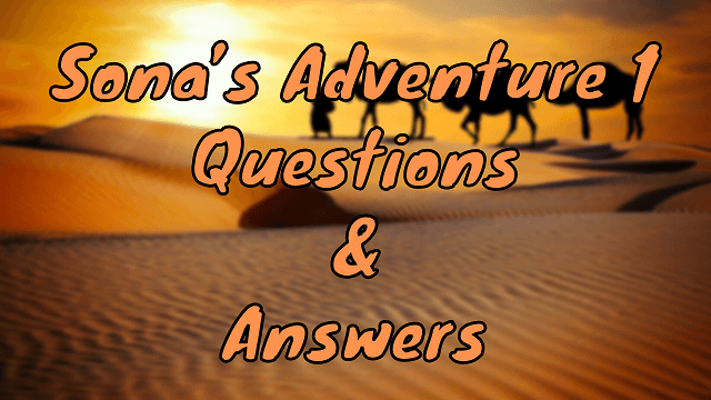 Sona’s Adventure 1 Questions & Answers