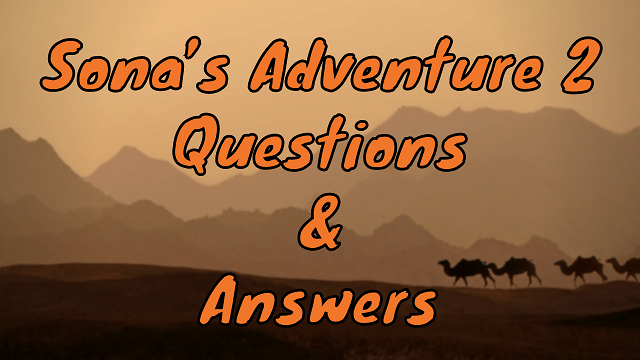 Sona’s Adventure 2 Questions & Answers