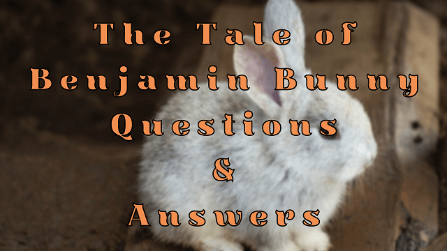 The Tale of Benjamin Bunny Questions & Answers