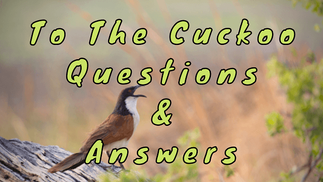 To The Cuckoo Questions & Answers