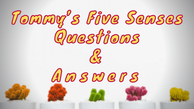 Tommy’s Five Senses Questions & Answers