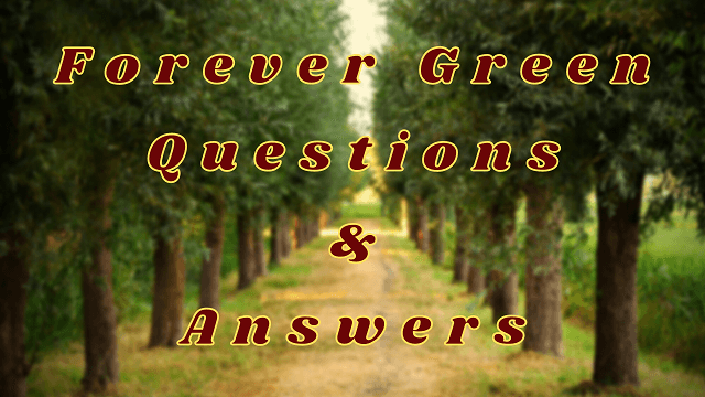 Forever Green Questions & Answers