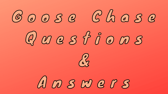 Goose Chase Questions & Answers