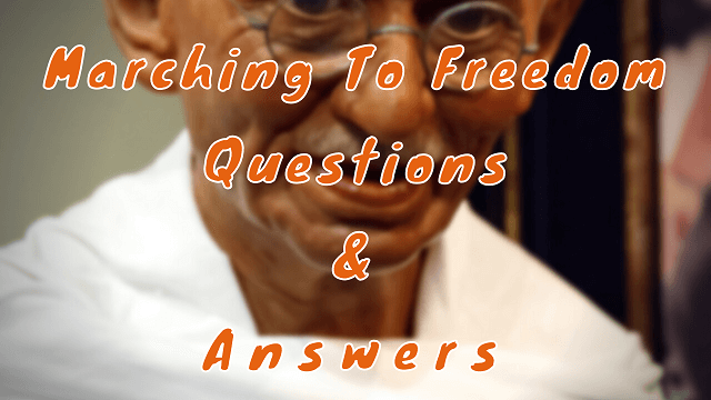 Marching To Freedom Questions & Answers