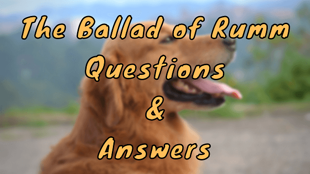 The Ballad of Rumm Questions & Answers