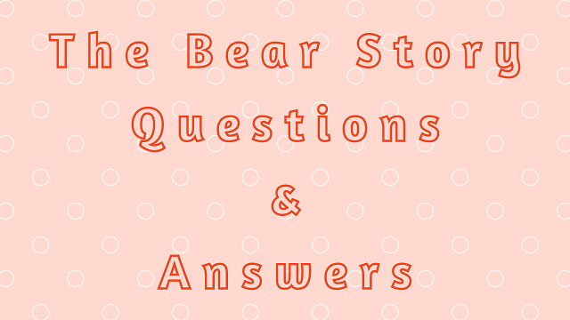 The Bear Story Questions & Answers