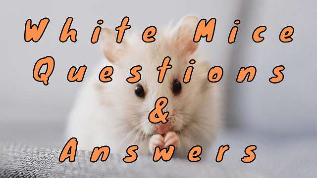 White Mice Questions & Answers