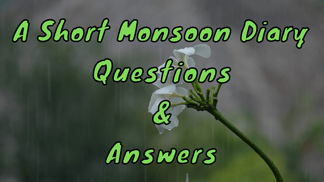 A Short Monsoon Diary Questions & Answers