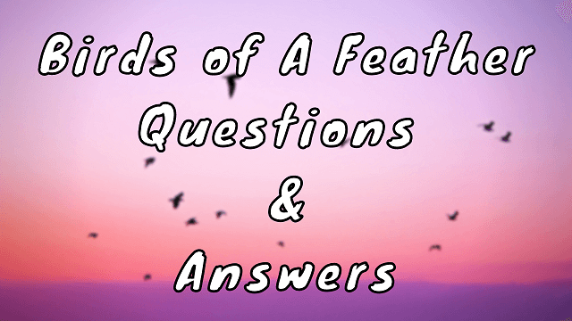 Birds of A Feather Questions & Answers
