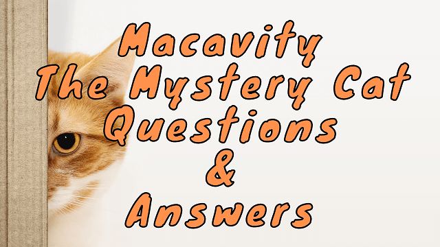 Macavity The Mystery Cat Questions & Answers
