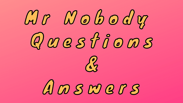 Mr Nobody Questions & Answers