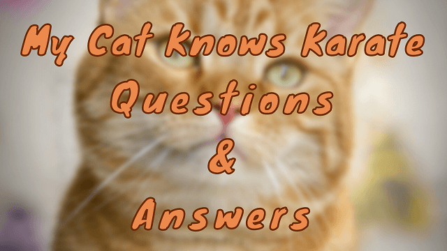 My Cat Knows Karate Questions & Answers