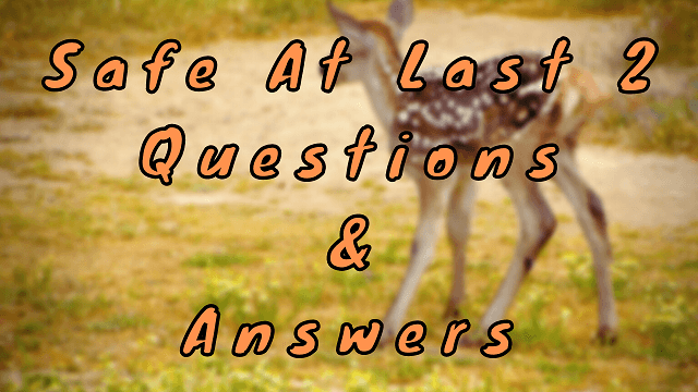 Safe At Last 2 Questions & Answers