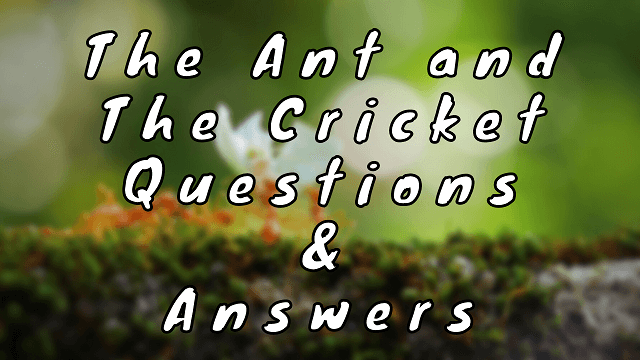 The Ant and The Cricket Questions & Answers