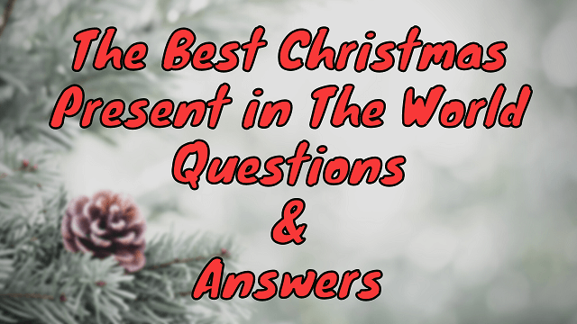 The Best Christmas Present in The World Questions & Answers