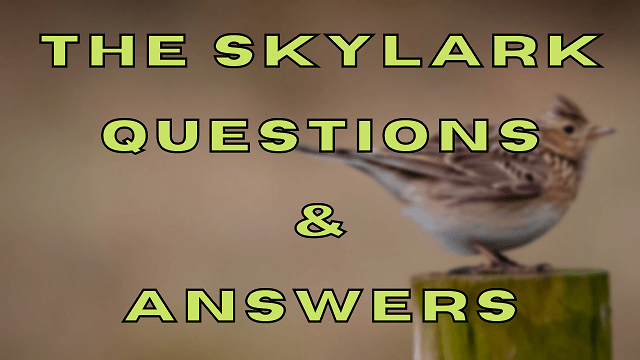 The Skylark Questions & Answers