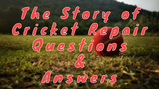 The Story of Cricket Repair Questions & Answers
