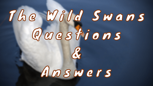 The Wild Swans Questions & Answers