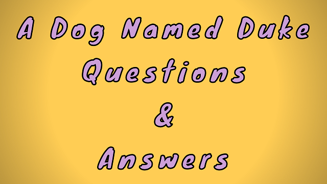 A Dog Named Duke Questions & Answers