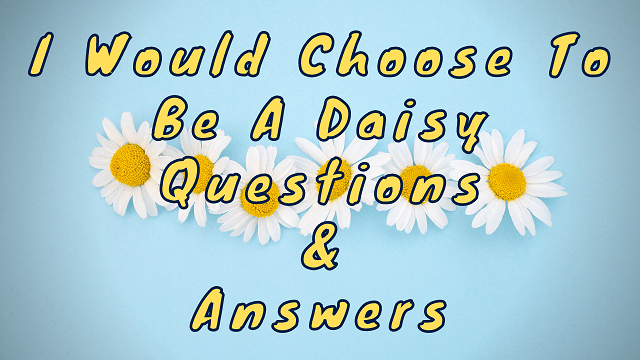 I Would Choose To Be A Daisy Questions & Answers