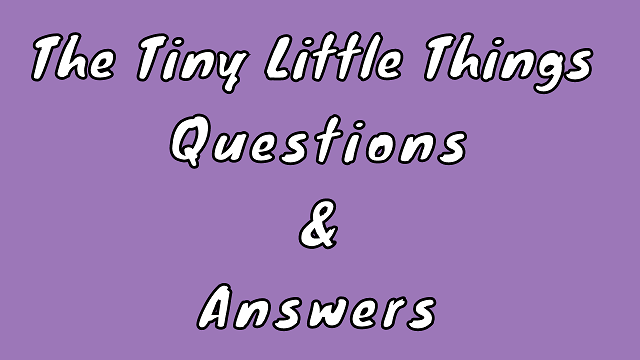 The Tiny Little Things Questions & Answers