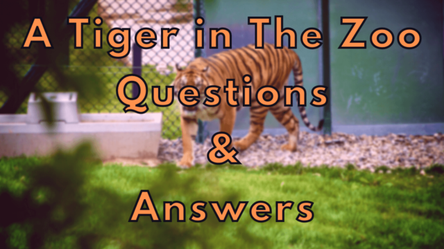 A Tiger in The Zoo Questions & Answers