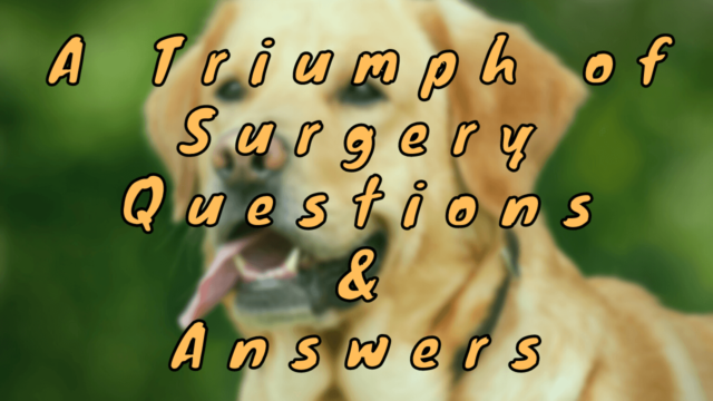 A Triumph of Surgery Questions & Answers