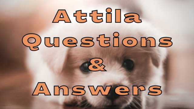 Attila Questions & Answers