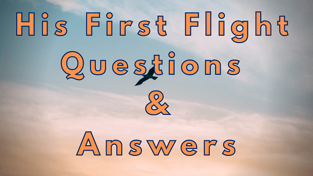 His First Flight Questions & Answers