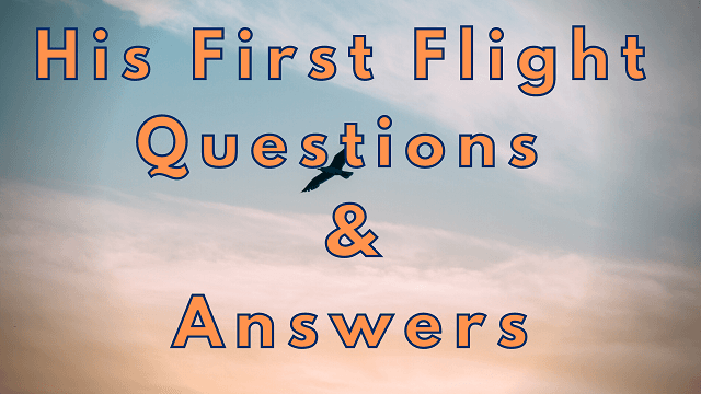 His First Flight Questions Answers WittyChimp