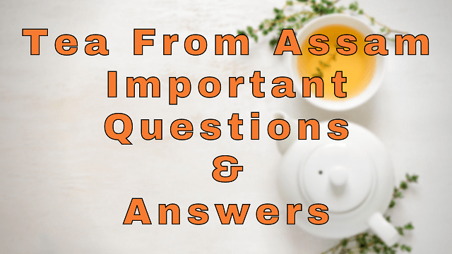 Tea from Assam Important Questions & Answers