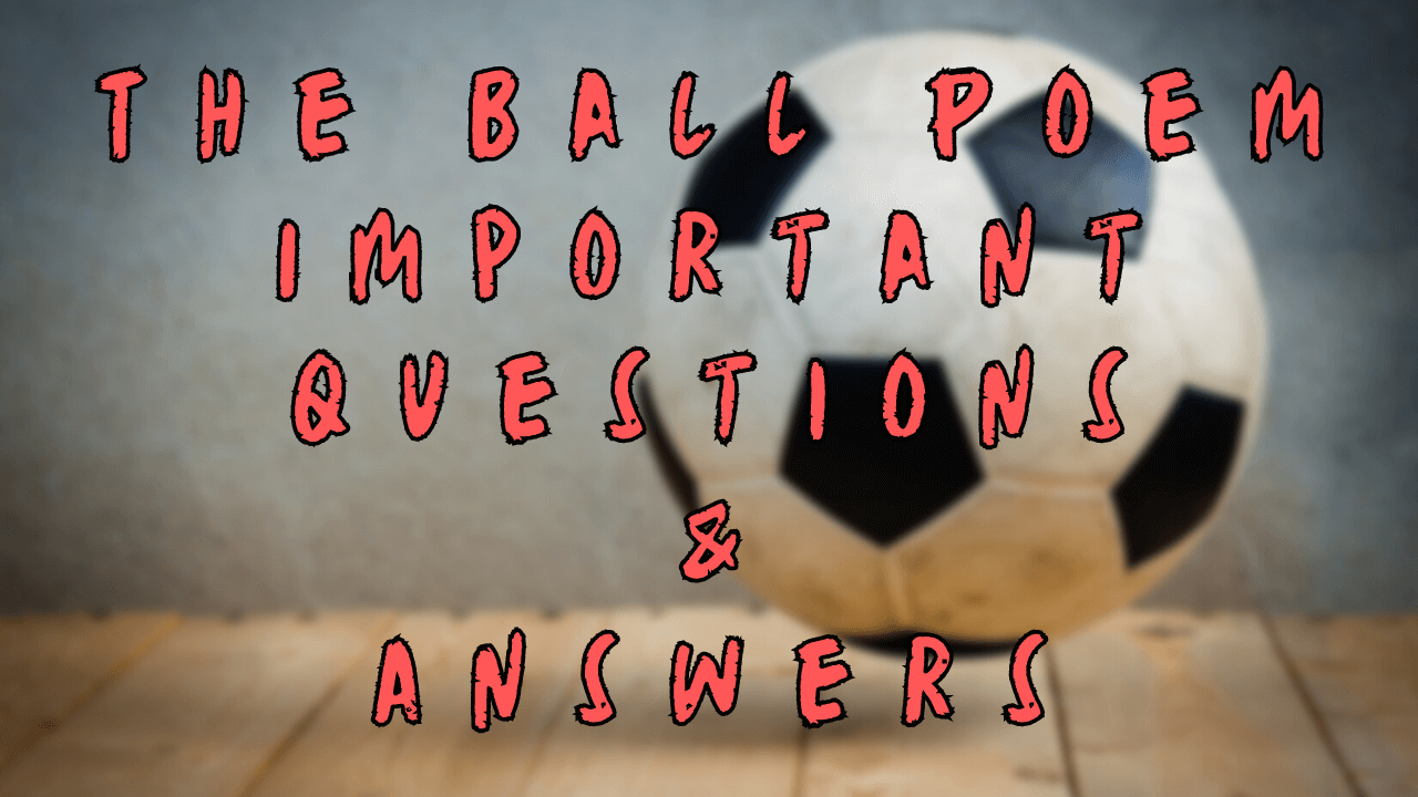 The Ball Poem Important Questions & Answers