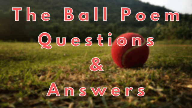The Ball Poem Questions & Answers