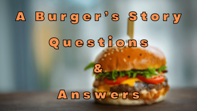 A Burger’s Story Questions & Answers