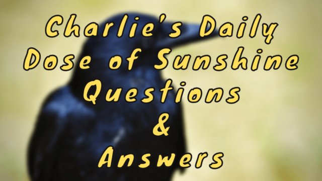 Charlie’s Daily Dose of Sunshine Questions & Answers