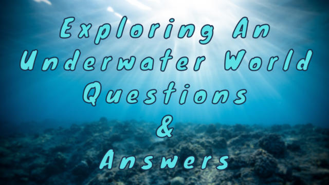 Exploring an Underwater World Questions & Answers
