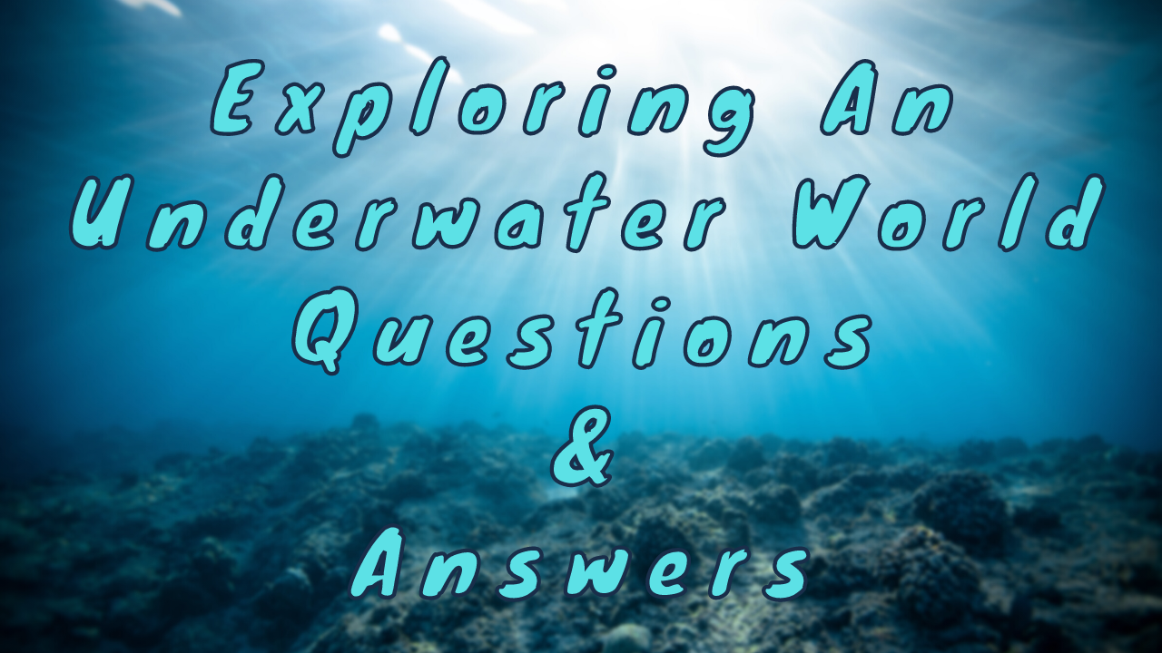 Exploring an Underwater World Questions & Answers WittyChimp