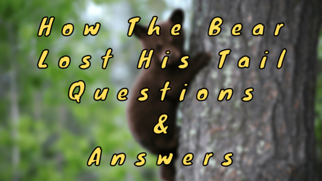 How the Bear Lost His Tail Questions & Answers