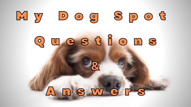 My Dog Spot Questions & Answers