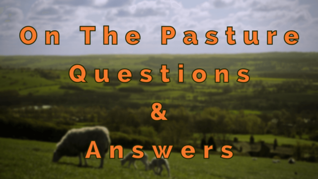 On the Pasture Questions & Answers