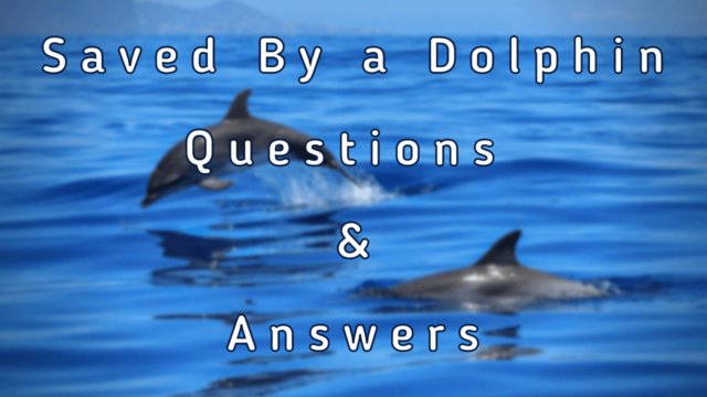 Saved By a Dolphin Questions & Answers